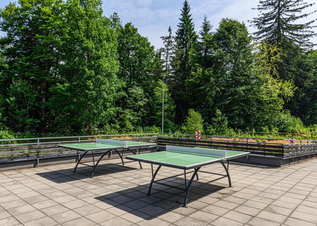 Pine Woods Studio D113 In Silver Mountain Poiana Braşov Dış mekan fotoğraf